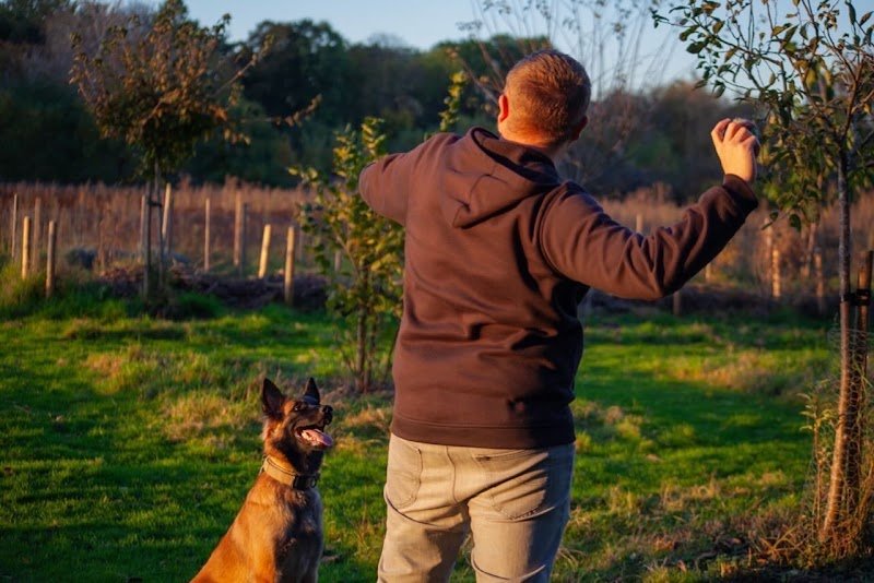 CaniSaved - Educateur Comportementaliste Canin Metz / Moselle (57) / Lorraine - photo 1