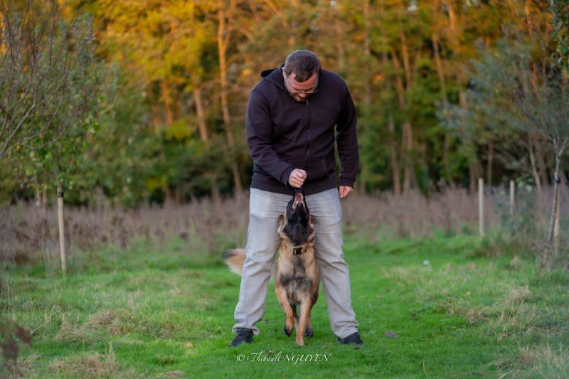 CaniSaved - Educateur Comportementaliste Canin Metz / Moselle (57) / Lorraine - photo 3