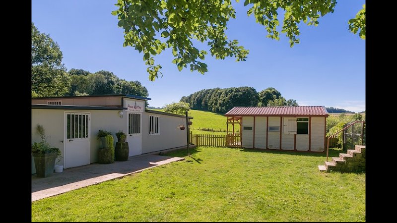 Peace & Dog - photo 1