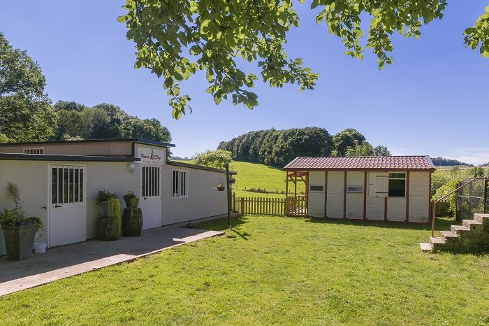 Peace & Dog - photo 2