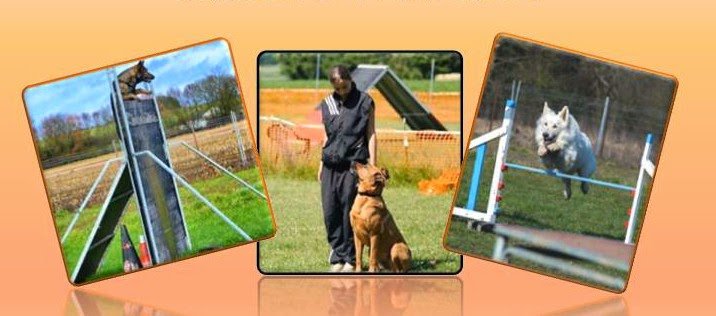Club d'Education Canine Distroff (C.E.C Distroff)