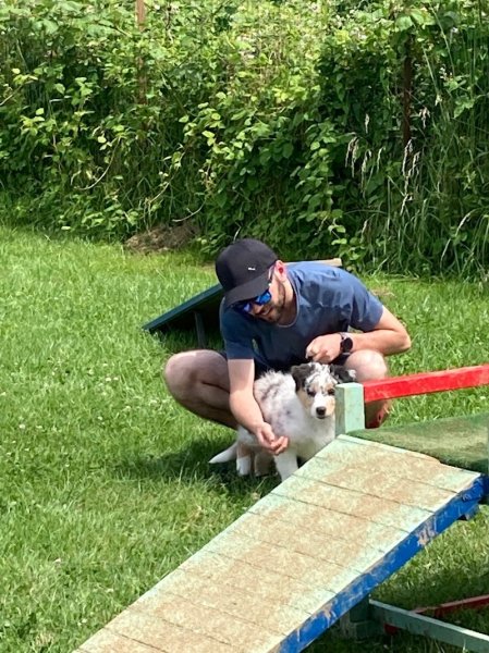 Club d'Education Canine Distroff (C.E.C Distroff) - photo 3