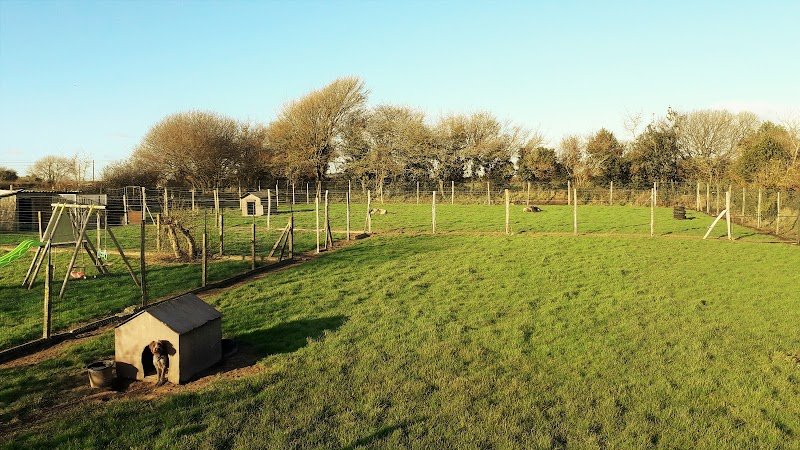 Chez Julie et Compagnie | Pension canine Manche | Julie Lemoussu