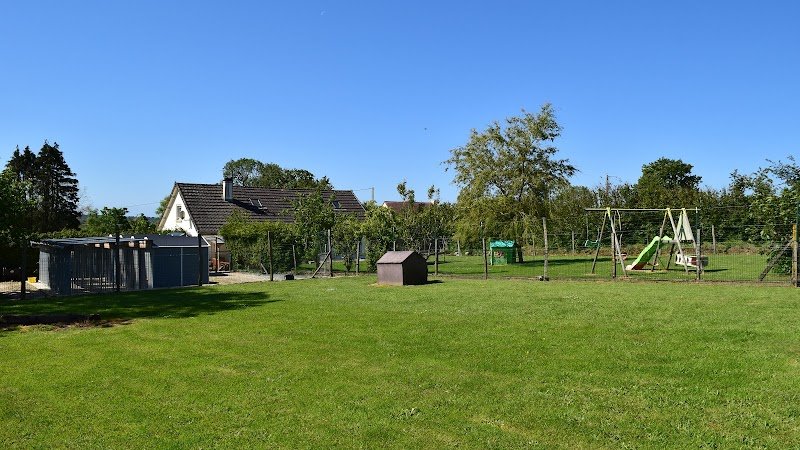 Chez Julie et Compagnie | Pension canine Manche | Julie Lemoussu - photo 2