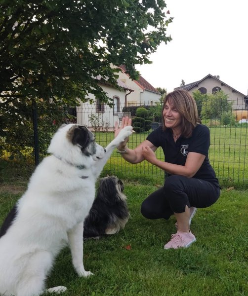 Angiedog's éducation