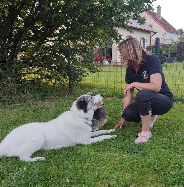 Angiedog's éducation - photo 2