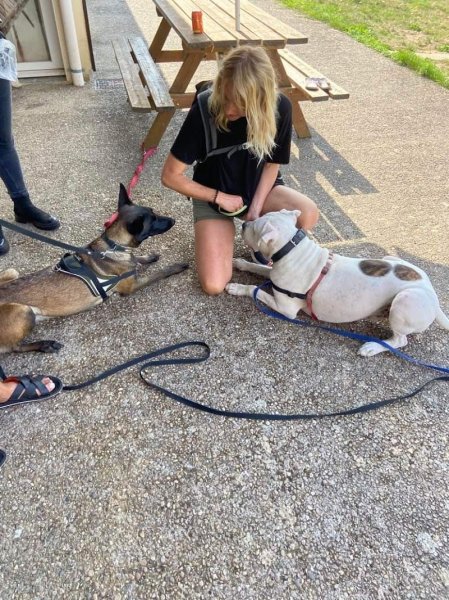 Aséduc & Co - Educateur comportementaliste canin