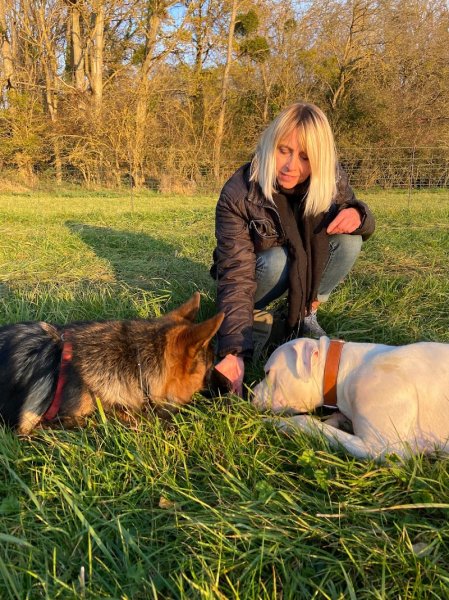 Aséduc & Co - Educateur comportementaliste canin - photo 2