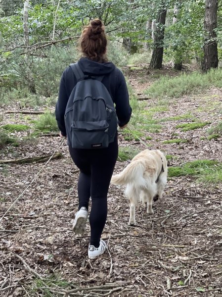 Dog Évolution - photo 2