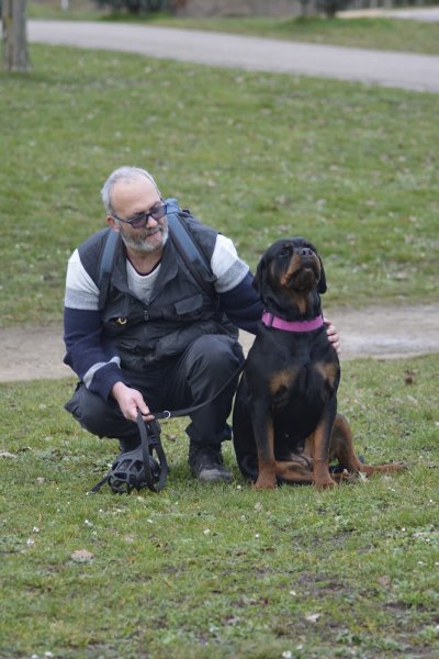Seb Dog Educ 57 comportementaliste canin - photo 2