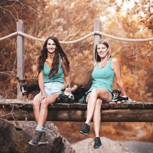 Le chien serein - photo 2