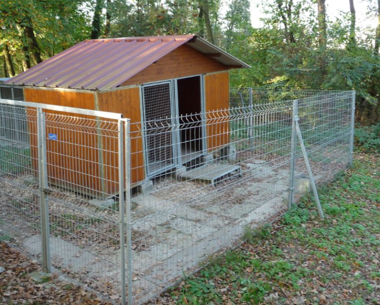 Le Chienérudit - photo 2