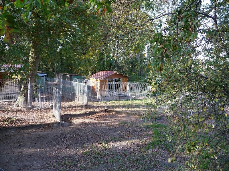 Le Chienérudit - photo 3