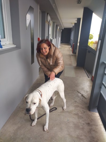 dog's academy 67 - photo 3