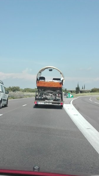 Training Club Canin - photo 3