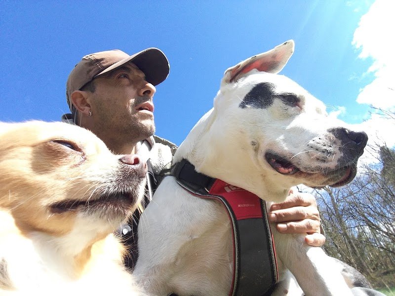 Services Canins - photo 1