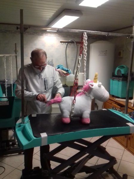 Beauté Canine - photo 1