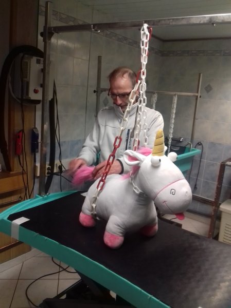 Beauté Canine - photo 2