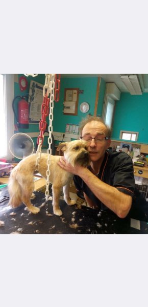 Beauté Canine - photo 3