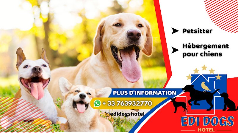 Edi Dogs Hotel - photo 1