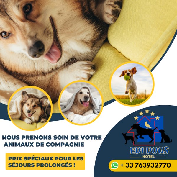 Edi Dogs Hotel - photo 2