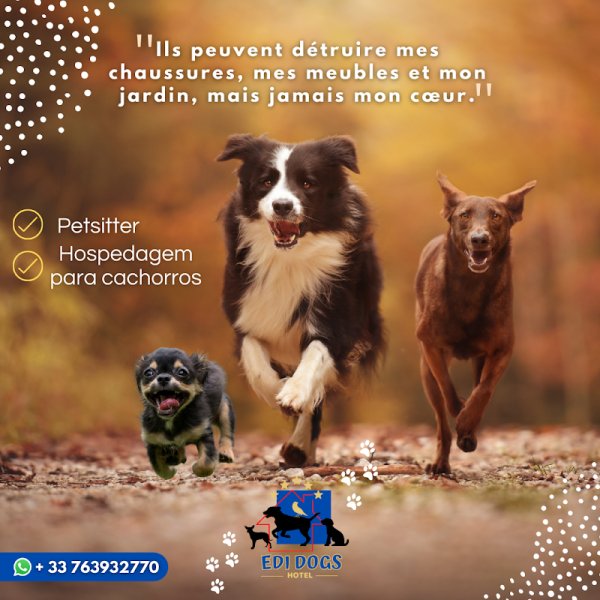 Edi Dogs Hotel - photo 3