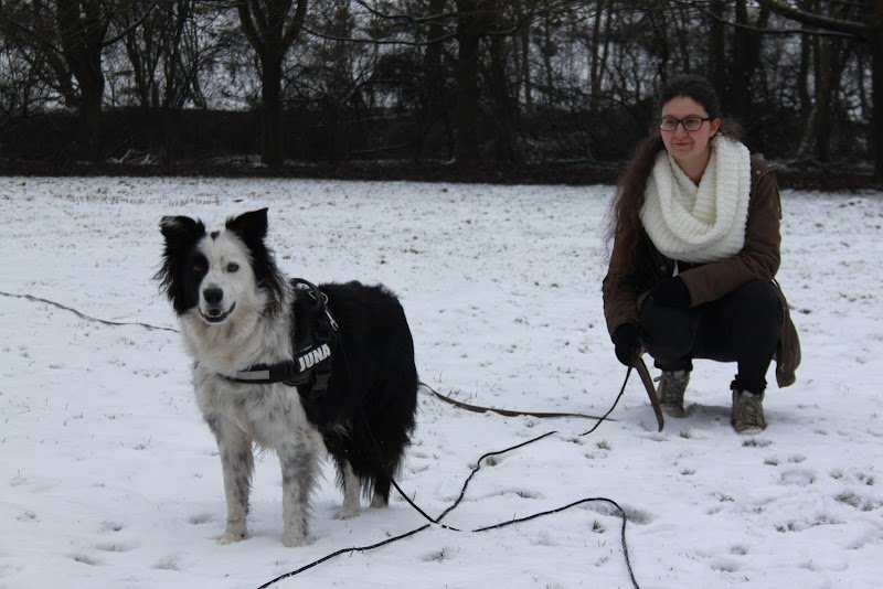 Passion Canine - photo 2