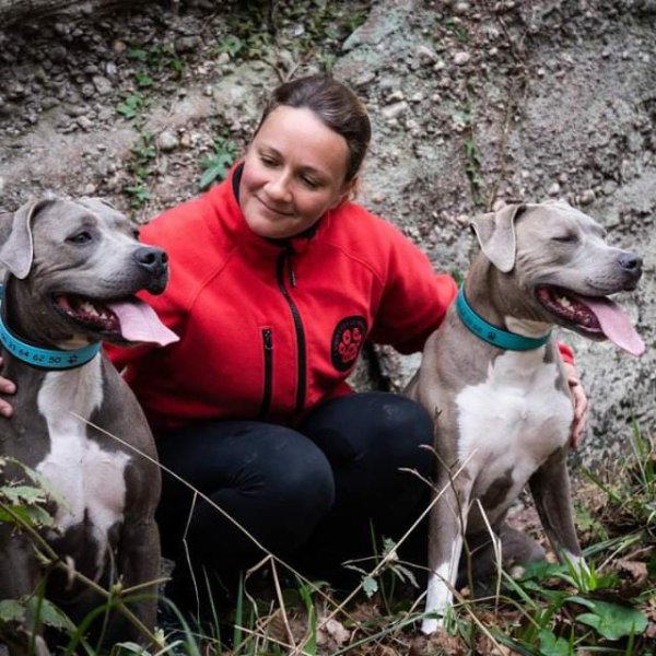 EDUC PATTES - Educateur Comportementaliste canin - Formations - Pension canine