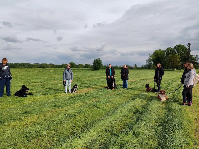 EDUC PATTES - Educateur Comportementaliste canin - Formations - Pension canine - photo 2