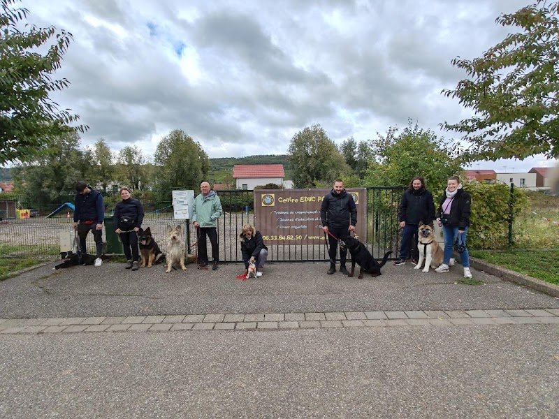 EDUC PATTES - Educateur Comportementaliste canin - Formations - Pension canine - photo 3