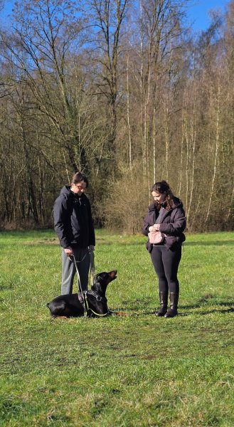 Cynolistic, éducation canine - photo 1