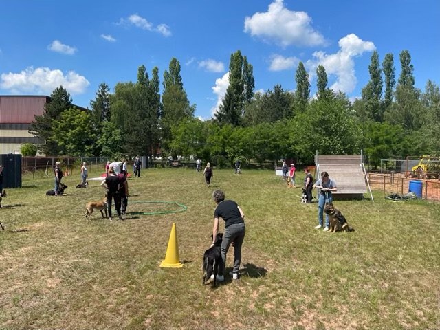 CLUB CANIN FORBACH - photo 2