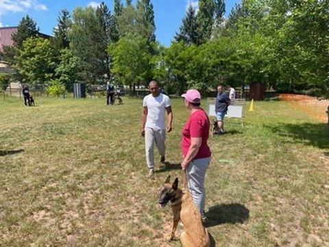 CLUB CANIN FORBACH - photo 3