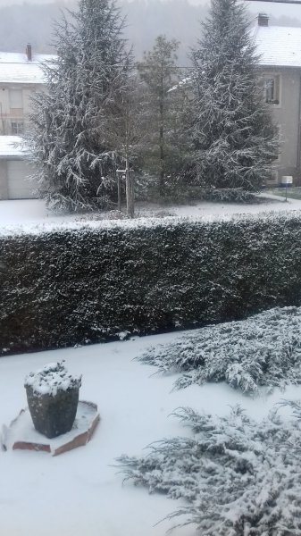 TRAINING CLUB CANIN STIRING WENDEL - FORBACH