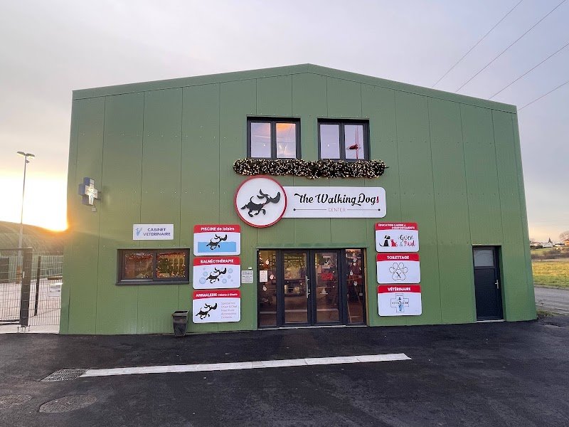 The Walking Dogs Center - photo 1