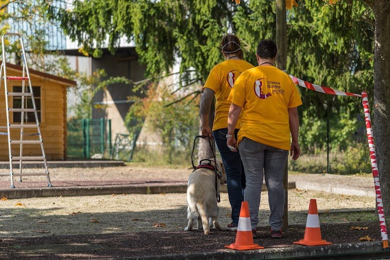 Chiens Guides de l’Est - photo 2