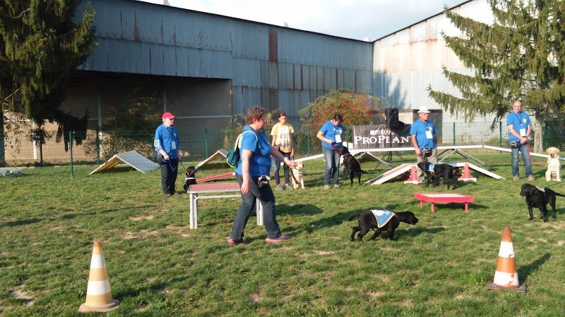 Chiens Guides de l’Est - photo 3