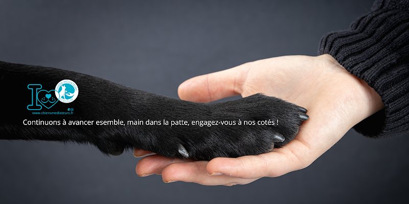 l’Association Chiens Médiateurs et d’Utilité de l’Est - photo 1