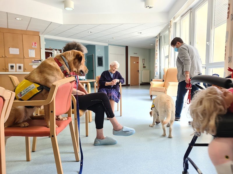 l’Association Chiens Médiateurs et d’Utilité de l’Est - photo 2