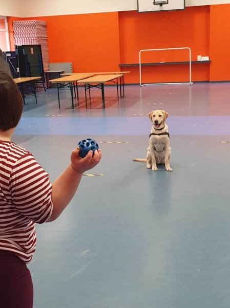 l’Association Chiens Médiateurs et d’Utilité de l’Est - photo 3