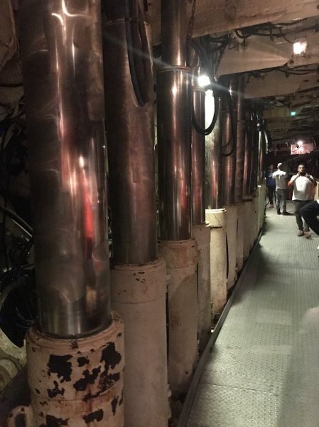 Club Canin Petite-Rosselle - photo 2