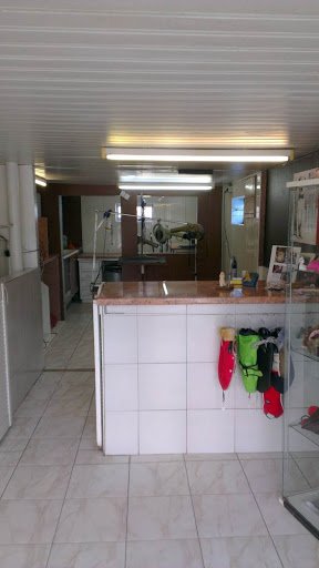 Elegance Canine Rousselot - photo 3