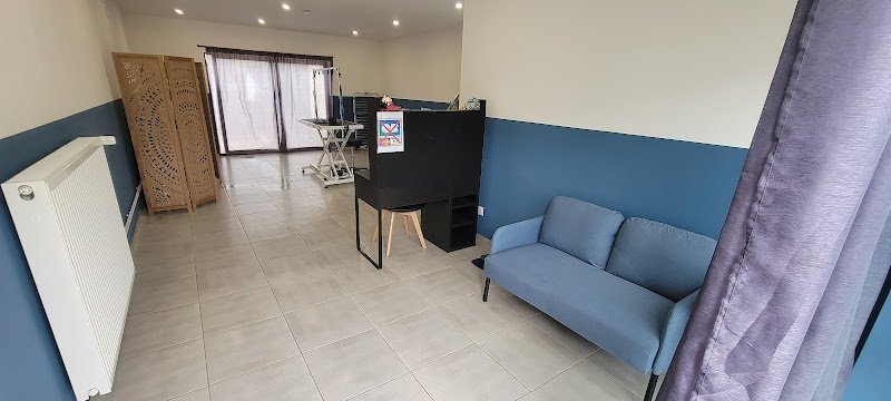 Bubble Dog - photo 2