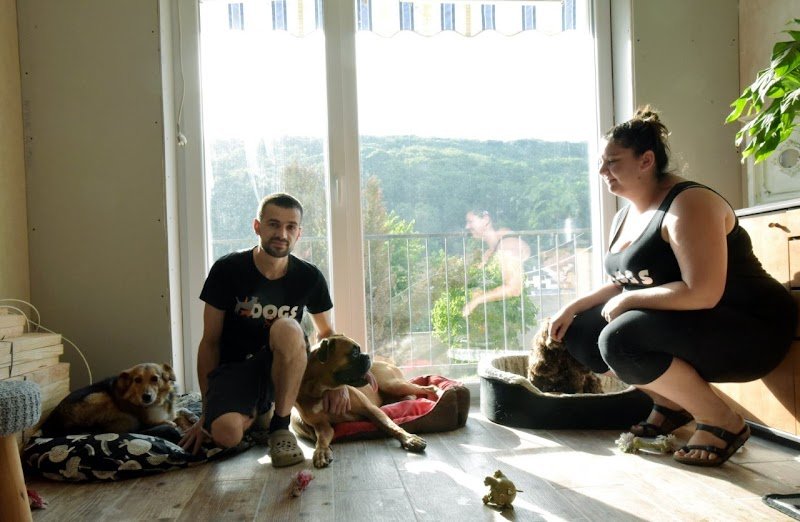 Dogs-sitter 57 - photo 1