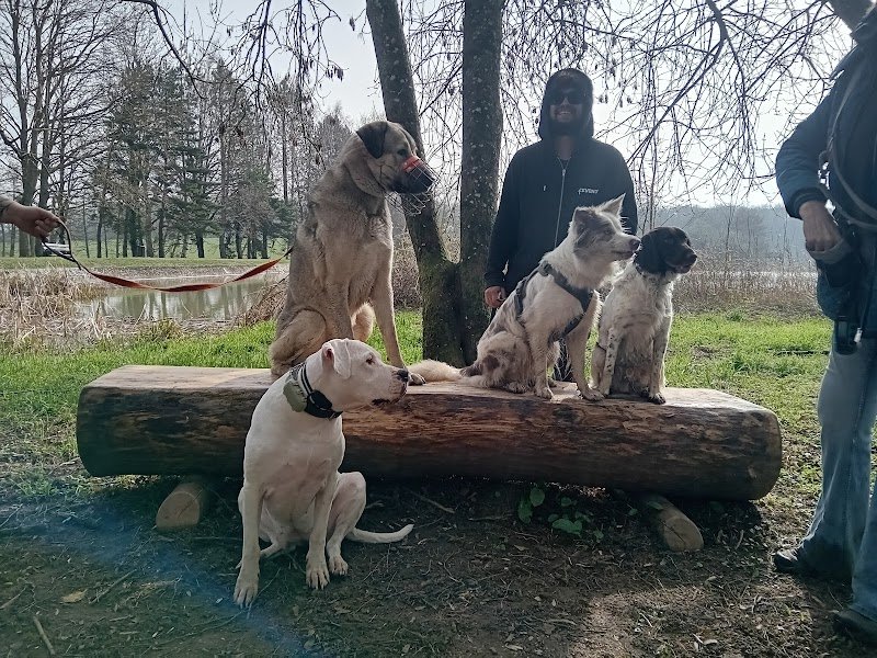 CamiDog - Éducatrice canin