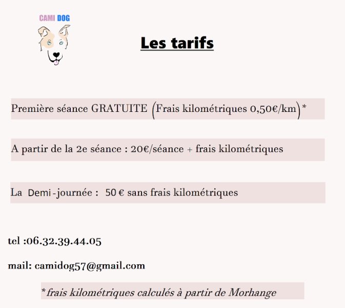 CamiDog - Éducatrice canin - photo 3