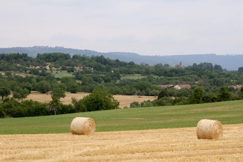 Association d'Education Canine de Marmoutier - photo 1