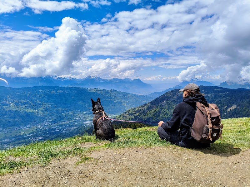 Thomas Educ' - Educateur canin et félin en Alsace - photo 1
