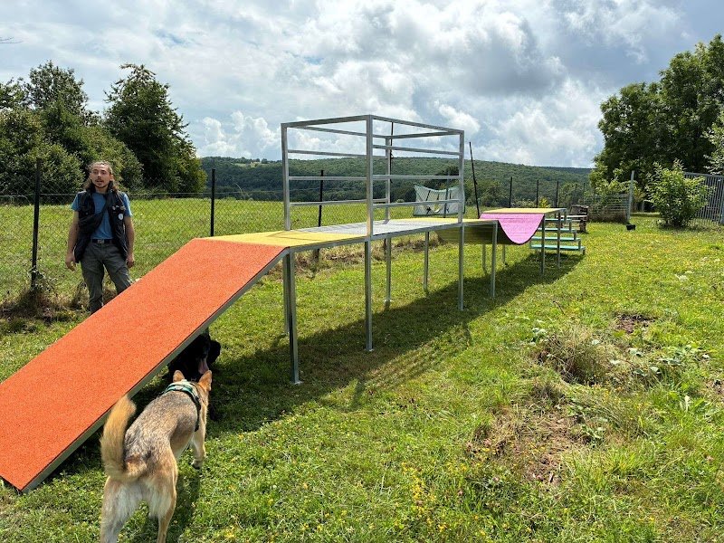 Thomas Educ' - Educateur canin et félin en Alsace - photo 3