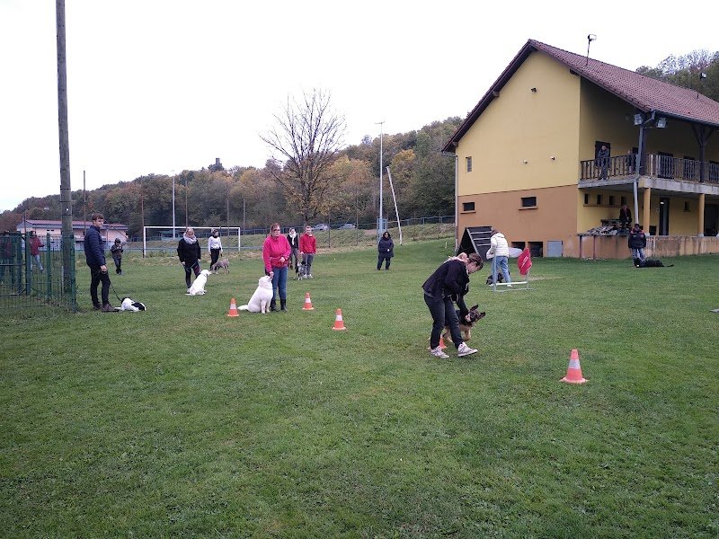 Training Club Canin Sarrewerden - photo 3
